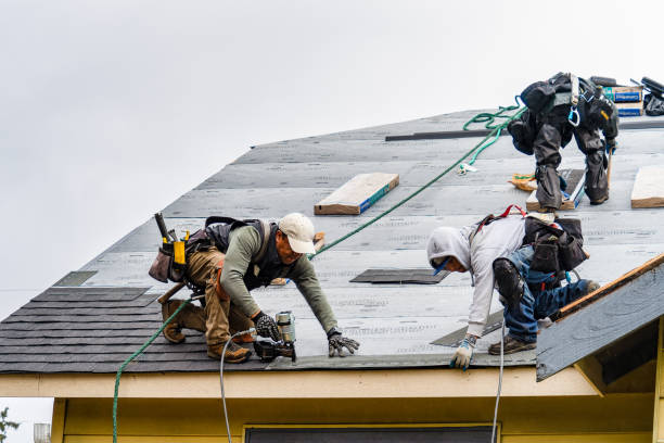 Professional Gutter Installation technician working in Ward, CO